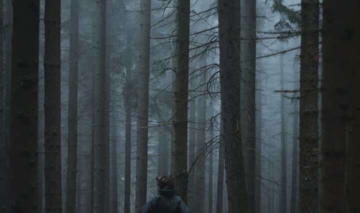 Bieganie w lesie – czy warto?