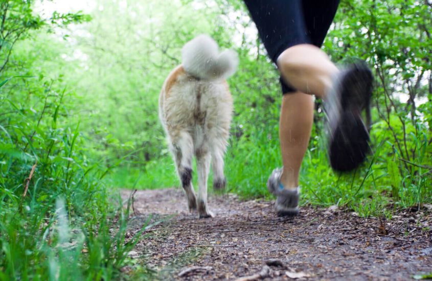 Bieganie z psem – jak zacząć? Połącz dwie przyjemności!