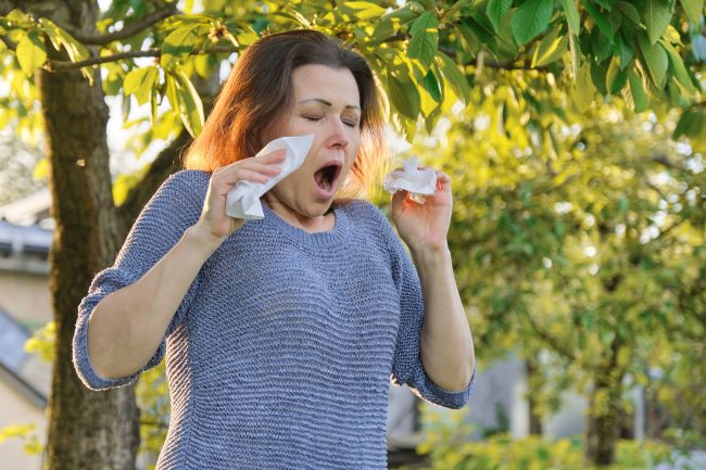 alergia na pyłki napad kichania w parku