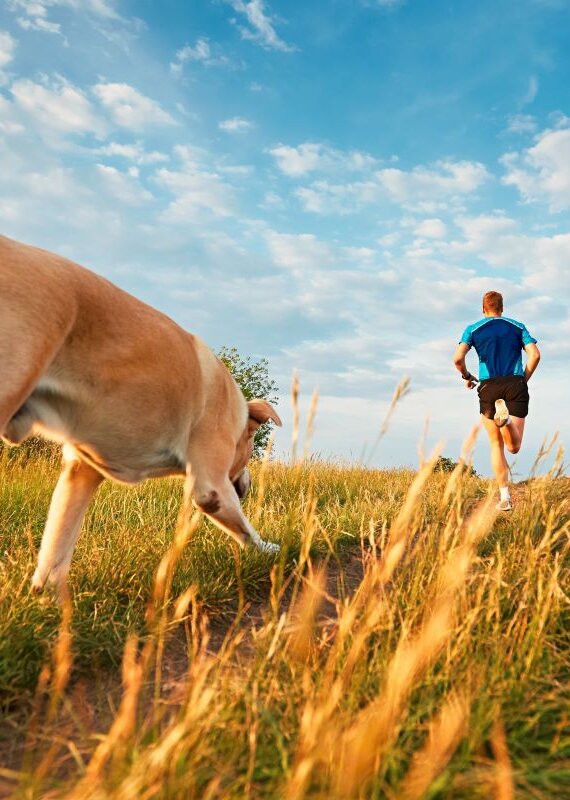 Agresywny pies i nieodpowiedzialny właściciel – poradnik dla biegaczy