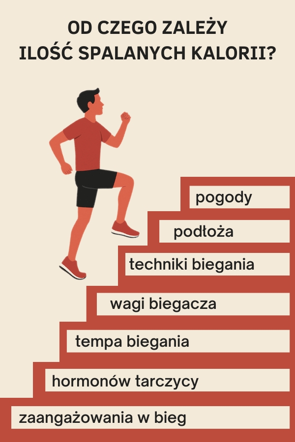 infografika przedstawiająca czynniki wpływające na ilość spalanych kalorii